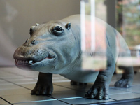 観光サイクリングin秩父の画像