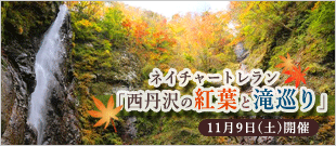 ネイチャートレラン「西丹沢の紅葉と滝巡り」