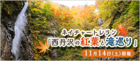 ネイチャートレラン西丹沢の紅葉と滝巡り