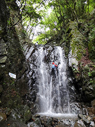 シイメージ画像