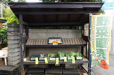 観光サイクリングin小平