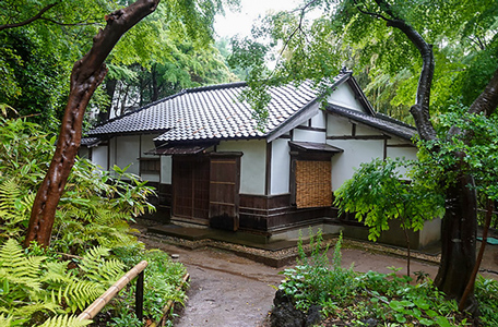 観光サイクリングin手賀沼