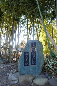 観光サイクリングin清瀬市