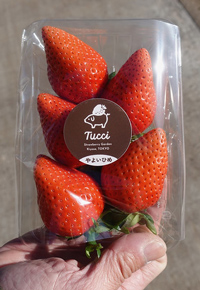 観光サイクリングin清瀬市