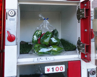 観光サイクリングin小平