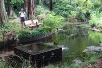 観光サイクリングin大泉学園