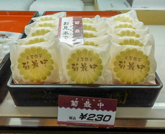 観光サイクリングin千葉市